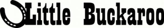 Little Buckaroo vinyl decal